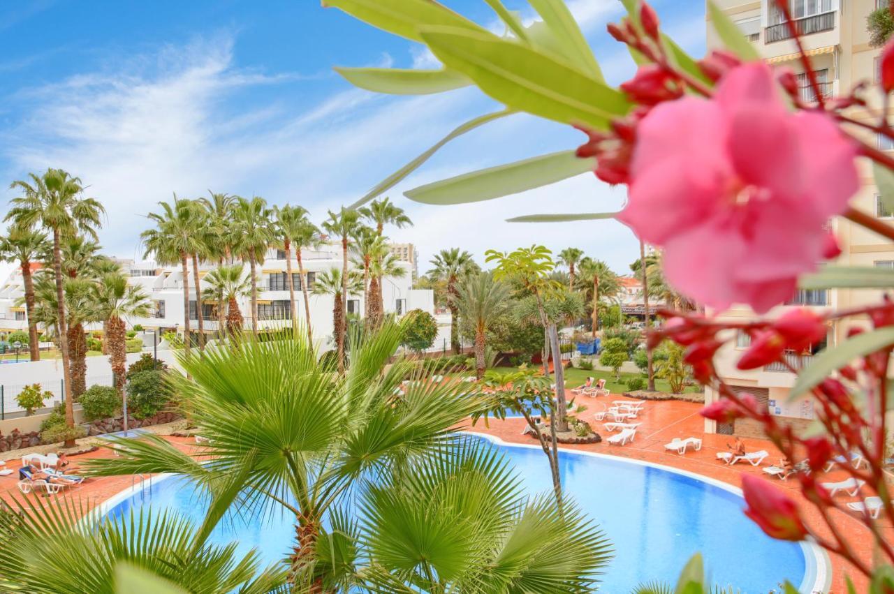 Studio Eldorado In Playa De Las Americas Near The Beach Arona  Buitenkant foto